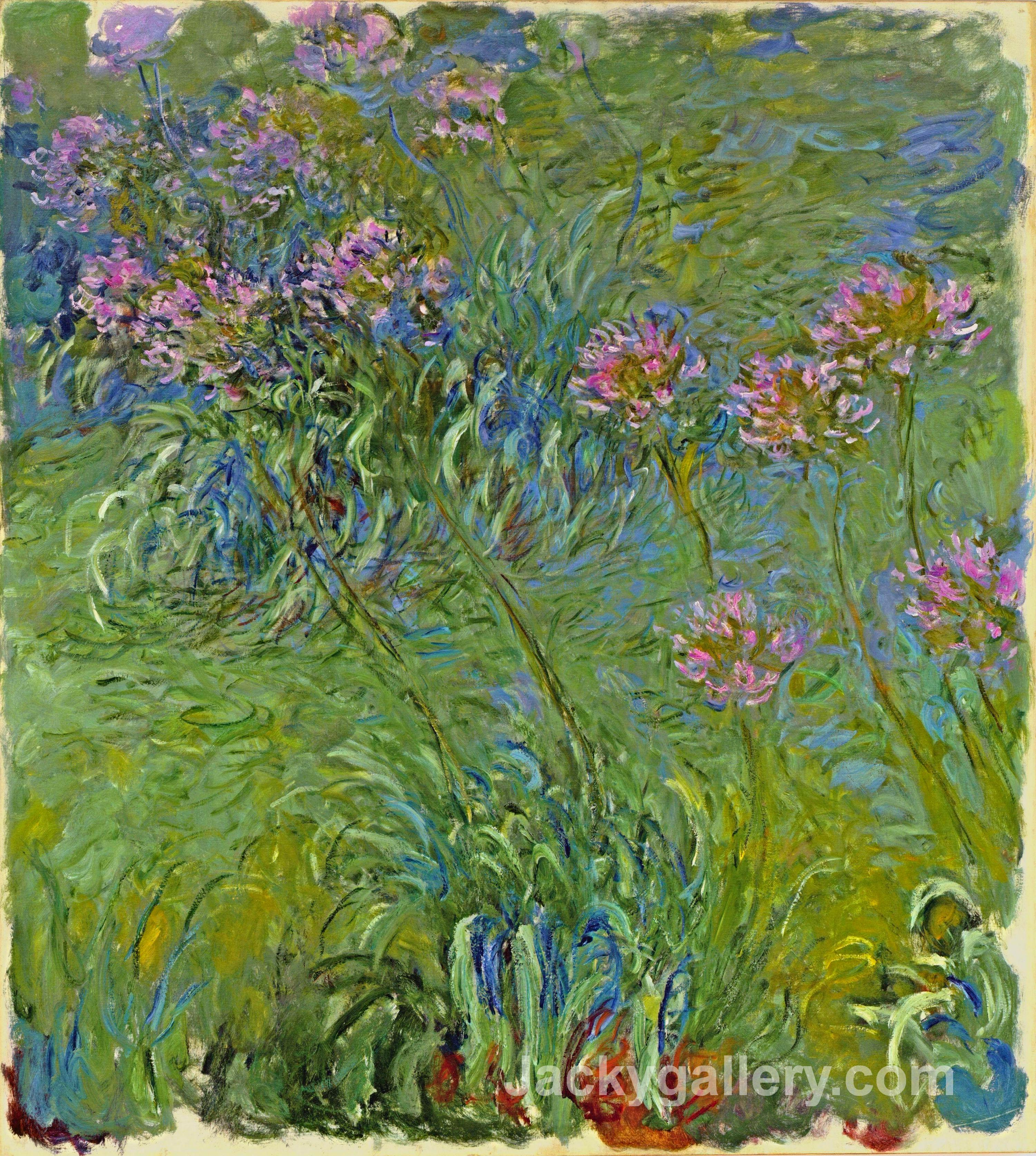 Agapanthus Flowers by Claude Monet paintings reproduction